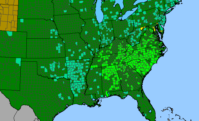 The range of Robinia hispida